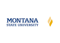 Montana State University